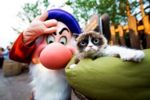 8th Miner Grumpy Cat