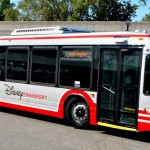 Disney bus
