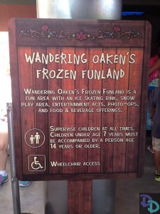 Disney's Frozen Summer of Fun