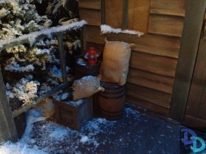 Disney's Frozen Summer of Fun