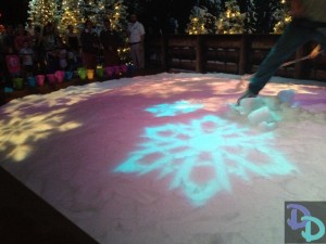 Disney's Frozen Summer of Fun