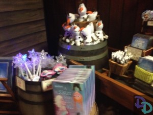 Disney's Frozen Summer of Fun