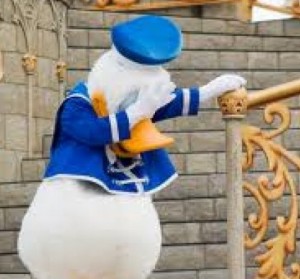 Walt Disney World Don't Donald Facepalm