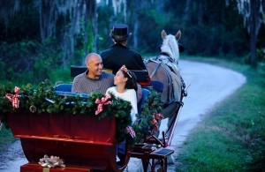 Holiday Sleigh Ride