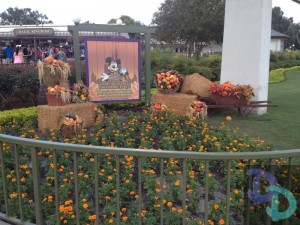Halloween decorations