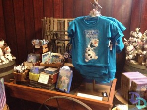 Disney Frozen merchandise