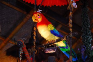 Tiki Birds Belle Refurbishment