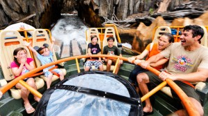 Kali River Rapids 2015 refurbishment