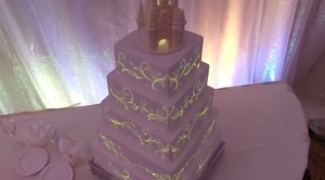 Disney wedding cake mapping