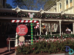 Magic Kingdom Christmas