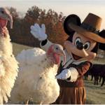 Disney World Thanksgiving hours