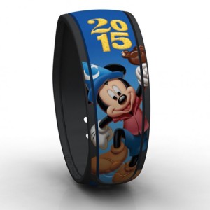 2015 Magicband