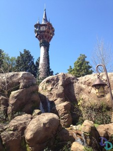 tangled fantasyland