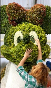 2015 epcot flower and garden topiaries