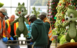 2015 epcot flower and garden topiaries