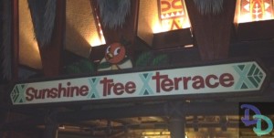 sunshine tree terrace aloha isle