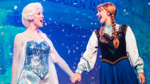 frozen summer fun premium package