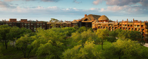 animal kingdom lodge transportation