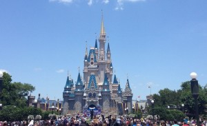 disney world pregnant women