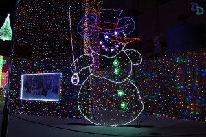Osborne Lights 2015