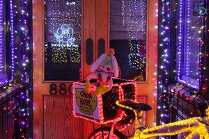 Osborne Lights 2015