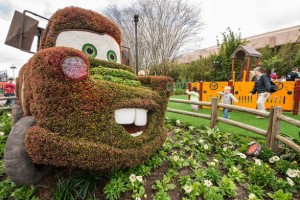epcot flower garden 2016