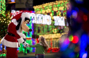 osborne lights live-stream