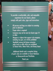 Disney World metal detectors