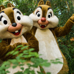 epcot character meet and greet chip n dale