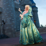 the fairy godmother meet-and-greet magic kingdom