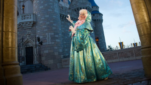 the fairy godmother meet-and-greet magic kingdom