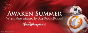 disney world awaken summer discount