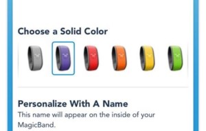 purple magicband disney world