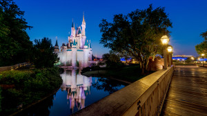 disney after hours