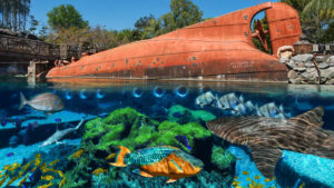 shark reef closing typhoon lagoon