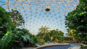 the land epcot evacuated fire