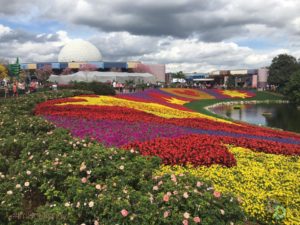 garden rocks 2022