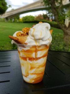 taste track epcot sundaes
