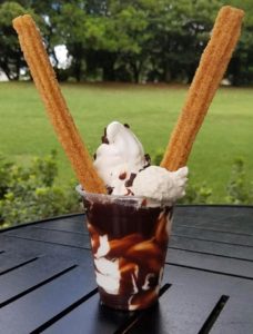taste track epcot sundaes