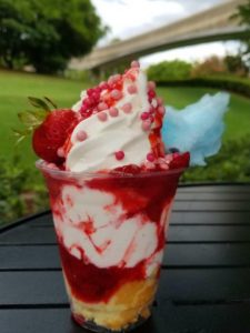 taste track epcot sundaes