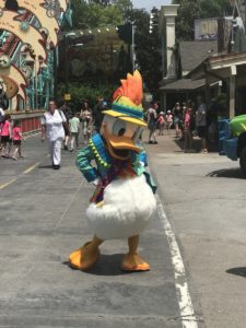donald's dino-bash disney's animal kingdom