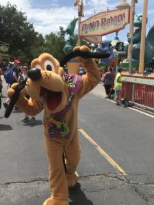 donald's dino-bash disney's animal kingdom