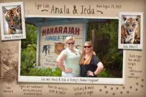 walt disney world magic shots