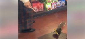 squirrel walt disney world magic kingdom snack credit steal candy