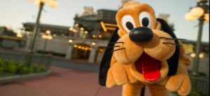 walt disney world resort pet dog friendly policy