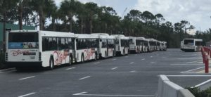 disney's hollywood studios bus stop new loop close old