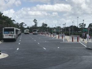 disney's hollywood studios bus stop new loop close old