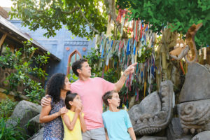 disney's animal kingdom walt disney world limited time magic shots fall 2018