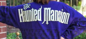 disney parks attractions spirit jerseys