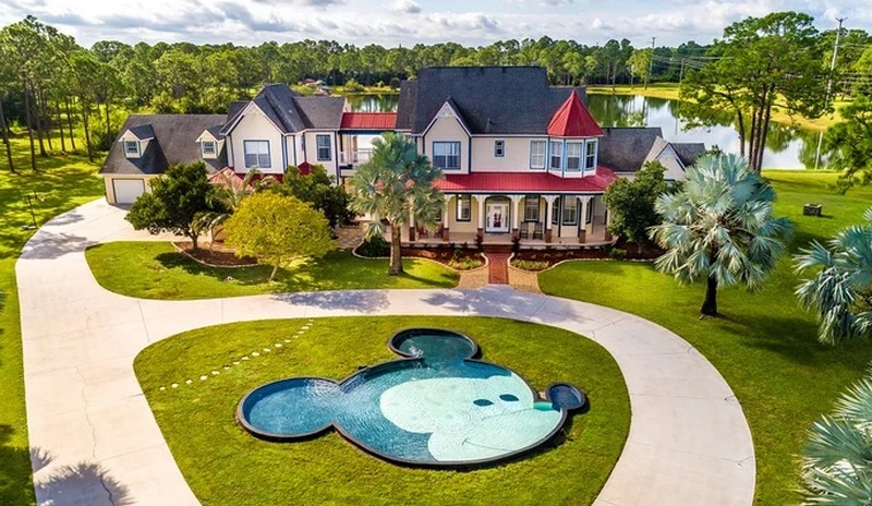 mickey mouse house